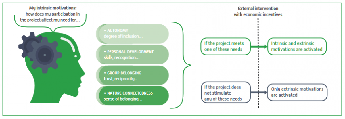 The four main intrinsic motivations at work in an integrated conservation and development project © CIRAD